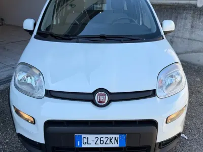 Usata Fiat Panda City Life 69 CV (50 kW) 2022 Bianco Utilitaria