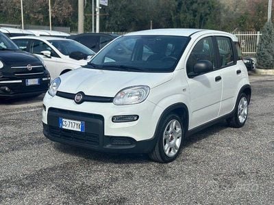 Usata Fiat Panda S 69 CV (50 kW) 2024 Bianco Utilitaria