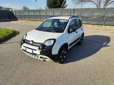Usata Fiat Panda 4x4 Wild 86 CV (63 kW) 2021 Bianco Utilitaria