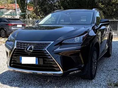 Usata Lexus NX300h