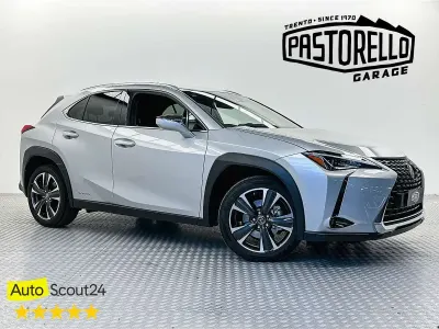 Usata Lexus UX 250h