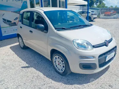 Usata Fiat Panda Easy 69 CV (50 kW) 2016 Beige Utilitaria