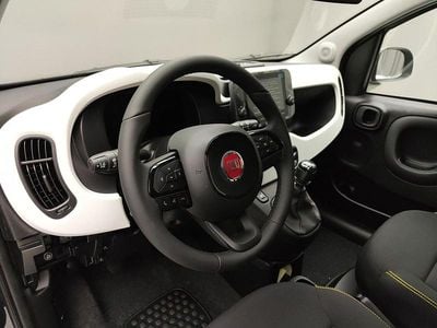 Usata Fiat Panda Cross Cross 70 CV (51 kW) 2025 Verde Utilitaria