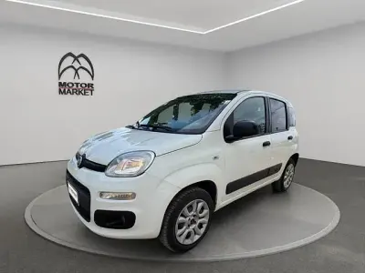 Usata Fiat Panda 4x4 Pop 85 CV (62 kW) 2019 Bianco Utilitaria