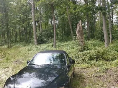Usata BMW Z3 Efficient Dynamics 118 CV (86 kW) 2003 Nero Cabrio