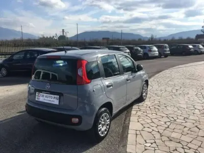 Usata Fiat Panda Easy 95 CV (69 kW) 2018 Grigio Utilitaria