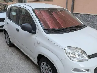 Usata Fiat Panda 2014 Bianco Utilitaria
