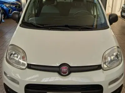 Usata Fiat Panda Easy 84 CV (61 kW) 2019 Utilitaria