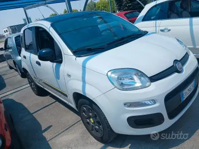 Usata Fiat Panda Young 85 CV (62 kW) 2014 Bianco Utilitaria