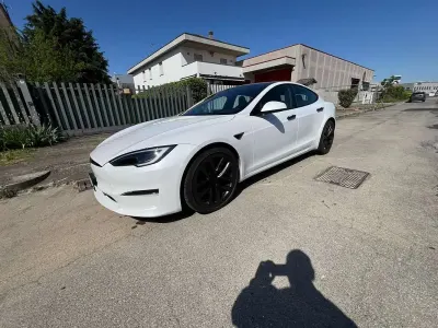 Usata Tesla Model S 217 kW (296 CV) 2023 Bianco Utilitaria