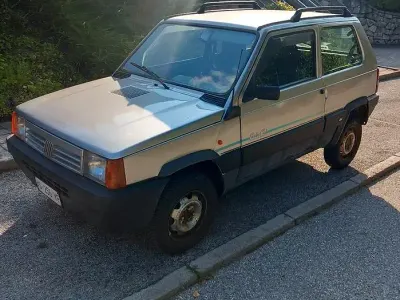 Usata Fiat Panda 4x4