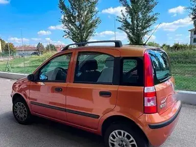Usata Fiat Panda 60 CV (44 kW) 2010 Arancione Utilitaria