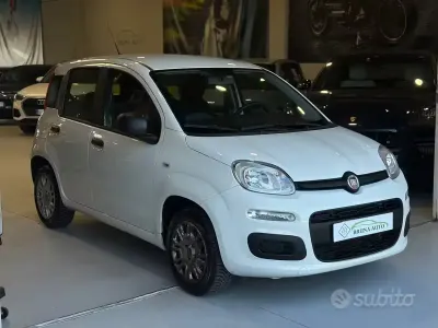 Usata Fiat Panda Easy 69 CV (50 kW) 2018 Bianco Utilitaria