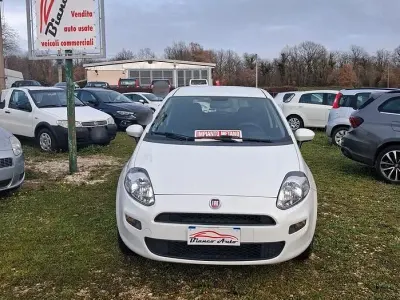 Usata Fiat Punto 77 CV (56 kW) 2016 Bianco Utilitaria