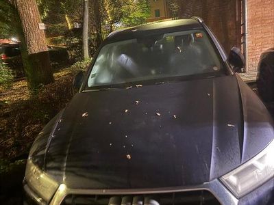 Usata Audi Q5 2018 Blu SUV