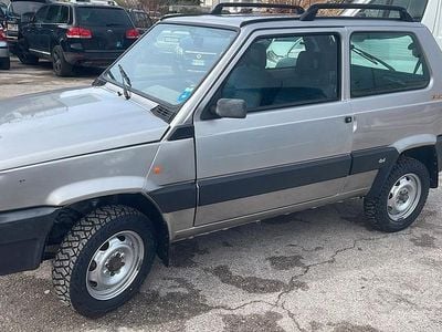 Usata Fiat Panda 4x4 Trekking 54 CV (39 kW) 1999 Grigio Utilitaria