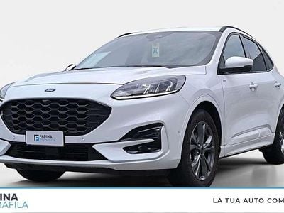 Usata Ford Kuga ST-Line 150 CV (110 kW) 2023 Bianco SUV