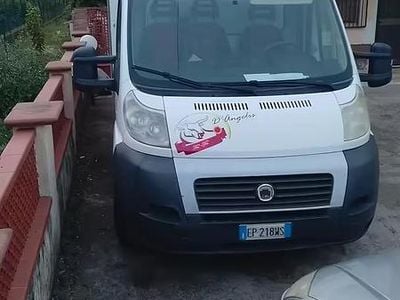 Usata Fiat Ducato 116 CV (85 kW) 2013 Bianco Furgone
