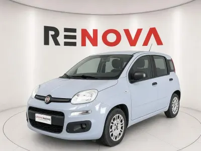 Usata Fiat Panda Easy 69 CV (50 kW) 2019 Grigio Utilitaria