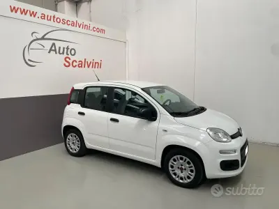 Usata Fiat Panda Easy 69 CV (50 kW) 2019 Bianco Utilitaria