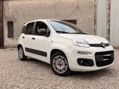 Usata Fiat Panda Easy 95 CV (69 kW) 2018 Bianco Utilitaria