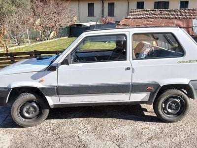 Usata Fiat Panda 4x4 Trekking 54 CV (39 kW) 1995 Bianco Utilitaria