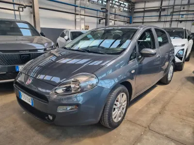 Usata Fiat Punto Lounge 69 CV (50 kW) 2015 Grigio Utilitaria