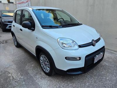Usata Fiat Panda City Life 70 CV (51 kW) 2023 Bianco Utilitaria