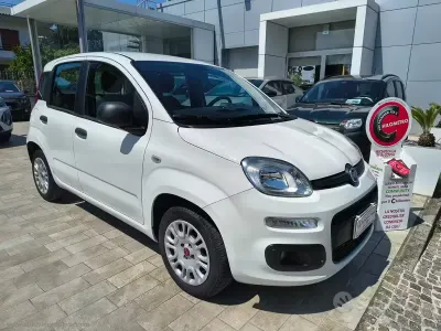 Usata Fiat Panda Easy 69 CV (50 kW) 2020 Bianco Utilitaria