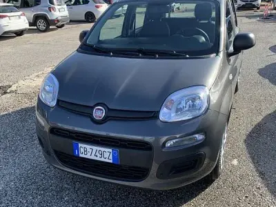 Usata Fiat Panda Easy 69 CV (50 kW) 2020 Utilitaria