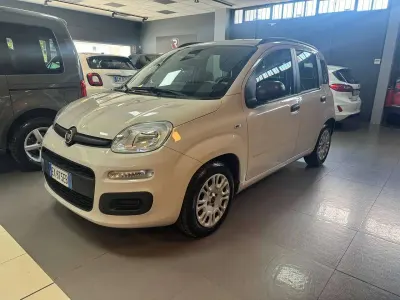 Usata Fiat Panda Lounge 69 CV (50 kW) 2014 Beige Utilitaria