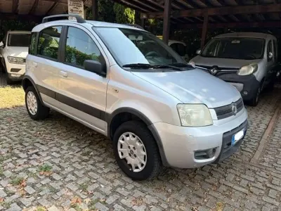 Usata Fiat Panda 4x4 Climbing 60 CV (44 kW) 2007 Argento Utilitaria