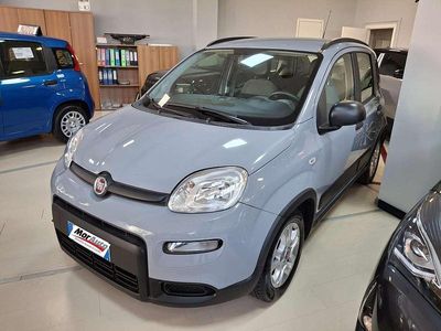 Usata Fiat Panda 69 CV (50 kW) 2023 Grigio moda Utilitaria