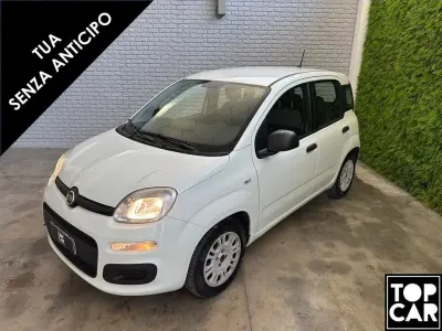 Usata Fiat Panda City Life 69 CV (50 kW) 2021 Bianco Utilitaria