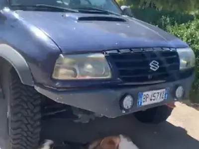 Usata Suzuki Vitara