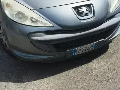 Usata Peugeot 206