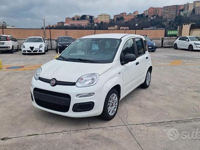 Usata Fiat Panda Easy 69 CV (50 kW) 2019 Bianco Utilitaria