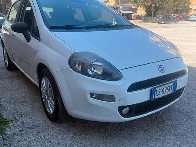 Usata Fiat Punto Lounge 75 CV (55 kW) 2013 Bianco Utilitaria