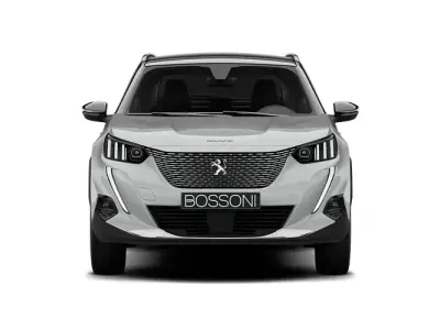 Usata Peugeot e-2008