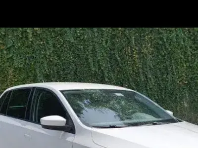 Usata Skoda Rapid Ambition 90 CV (66 kW) 2015 Bianco Utilitaria