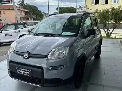 Usata Fiat Panda 4x4 S 85 CV (62 kW) 2019 Grigio Utilitaria