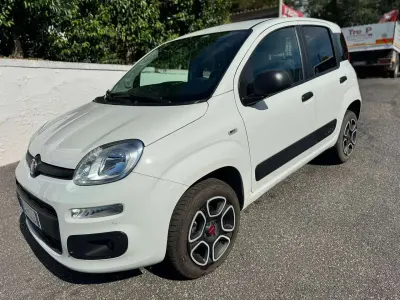 Usata Fiat Panda 4x4