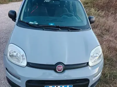 Usata Fiat Panda