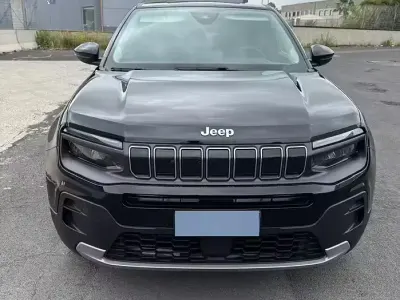 Usata Jeep Avenger