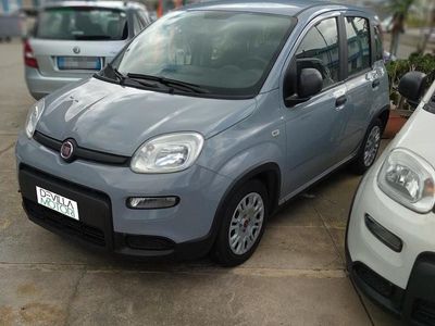 Usata Fiat Panda S 70 CV (51 kW) 2022 Grigio Utilitaria