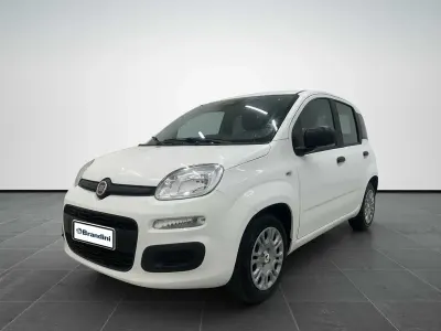 Nuova Fiat Panda Icon 65 CV (47 kW) 2026 Bianco gelato pastello Utilitaria