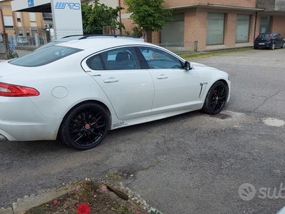 usata Jaguar XF XF 2.2 D Limited Edition