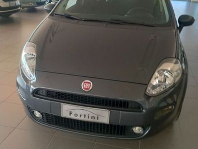 usata Fiat Punto 1.2 8V 5 porte Street