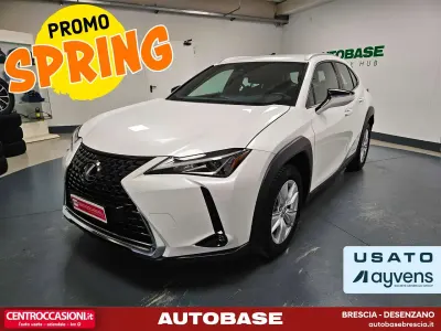Usata Lexus UX 250h