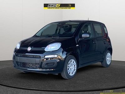 Usata Fiat Panda S 69 CV (50 kW) 2024 Viola Utilitaria